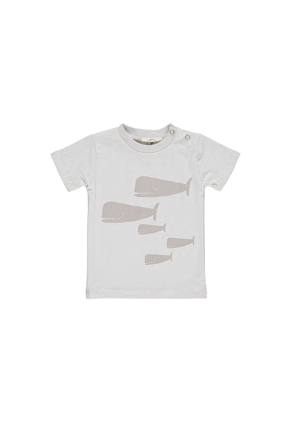2230 NORR - BABY T-SHIRT SHORT SLEEVES