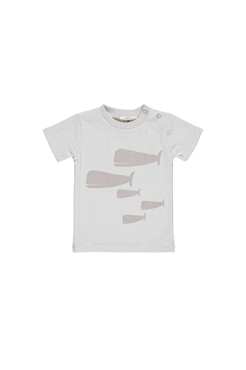 2230 NORR - BABY T-SHIRT SHORT SLEEVES